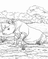 A coloring page of nature in africa